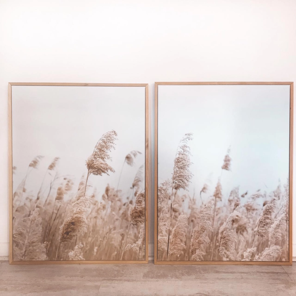 Conjunto Cuadros Canvas Campo Cola de Zorro