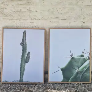Conjunto Cuadros Canvas Suculenta-Cactus