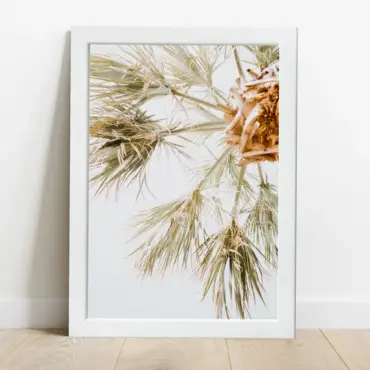Cuadro Palmera Color