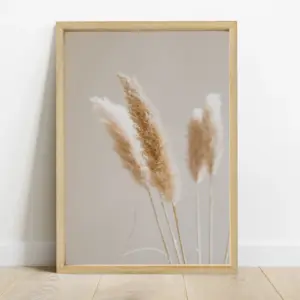 Cuadro cola de Zorro