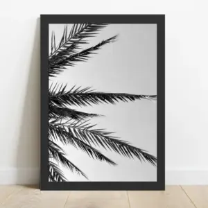 Cuadro Palmera B/N