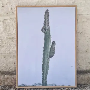 Cuadro Canvas Cactus