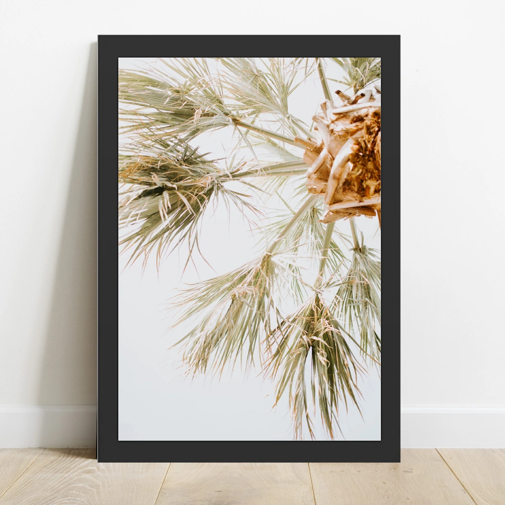 Cuadro Palmera Color - Imagen 2