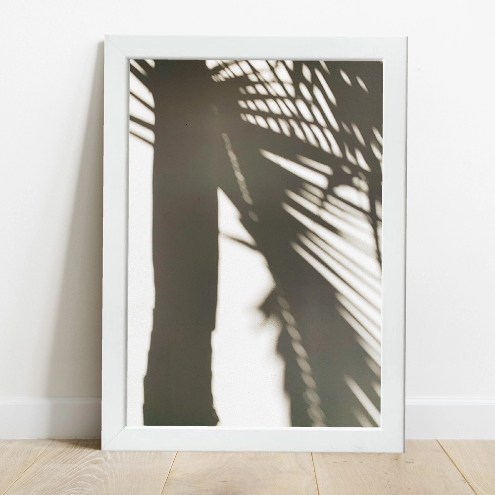 Cuadro Sombra de Palmera - Imagen 2