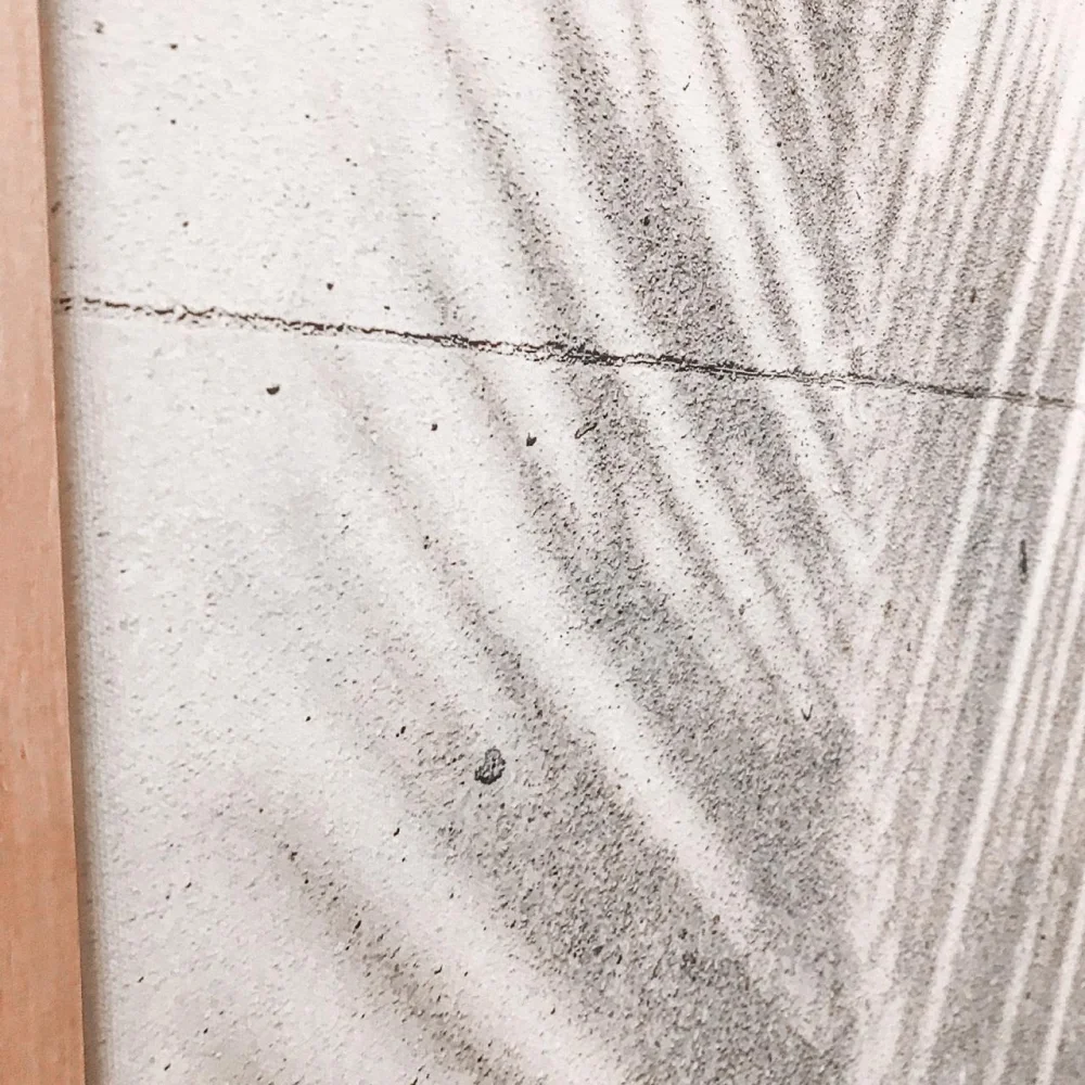 Cuadro Canvas Sombra de Palmera - Imagen 2