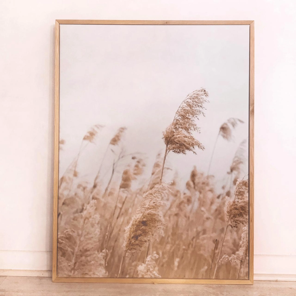 Conjunto Cuadros Canvas Campo Cola de Zorro - Imagen 2