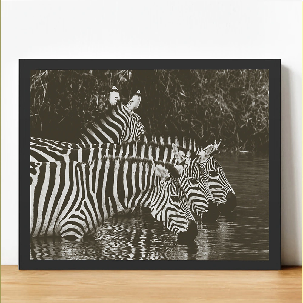 Cuadro Cebra - Imagen 2