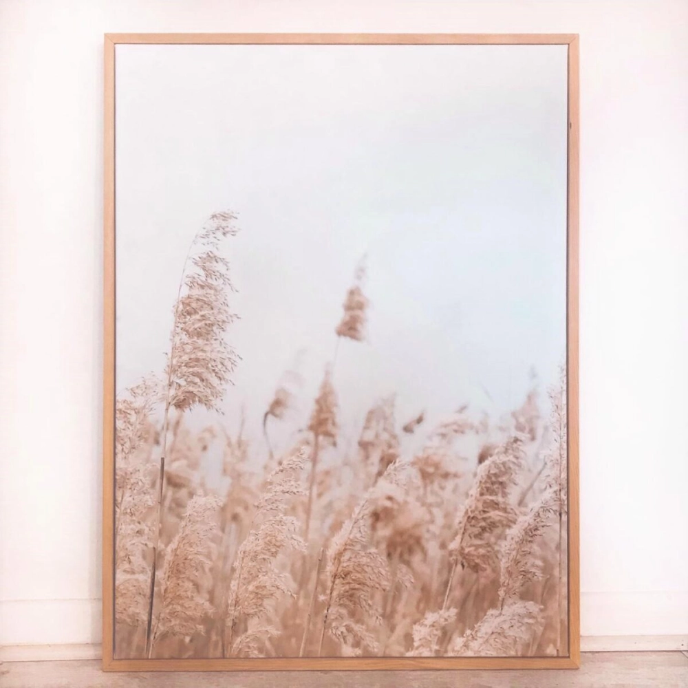 Conjunto Cuadros Canvas Campo Cola de Zorro - Imagen 3