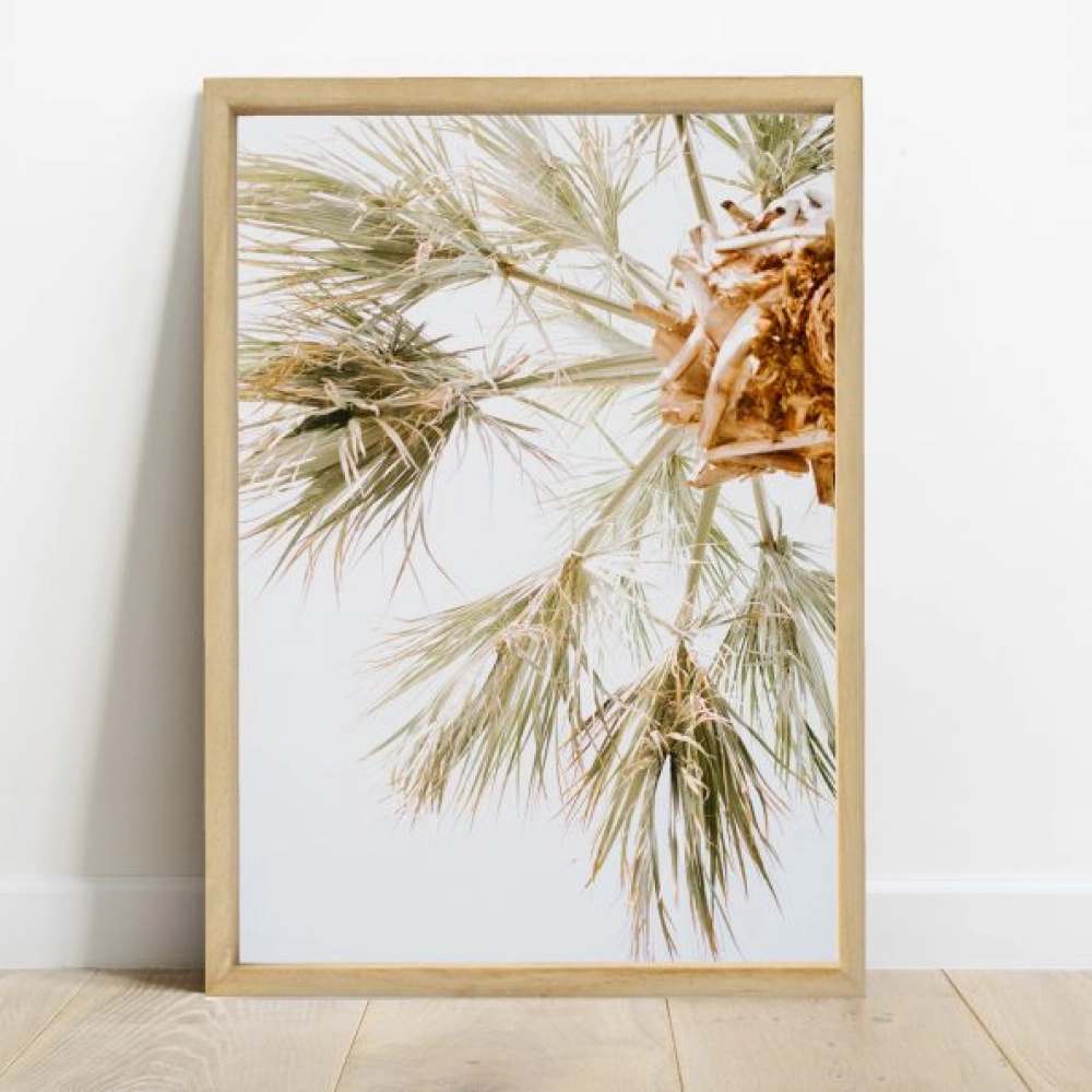 Cuadro Palmera Color - Imagen 3