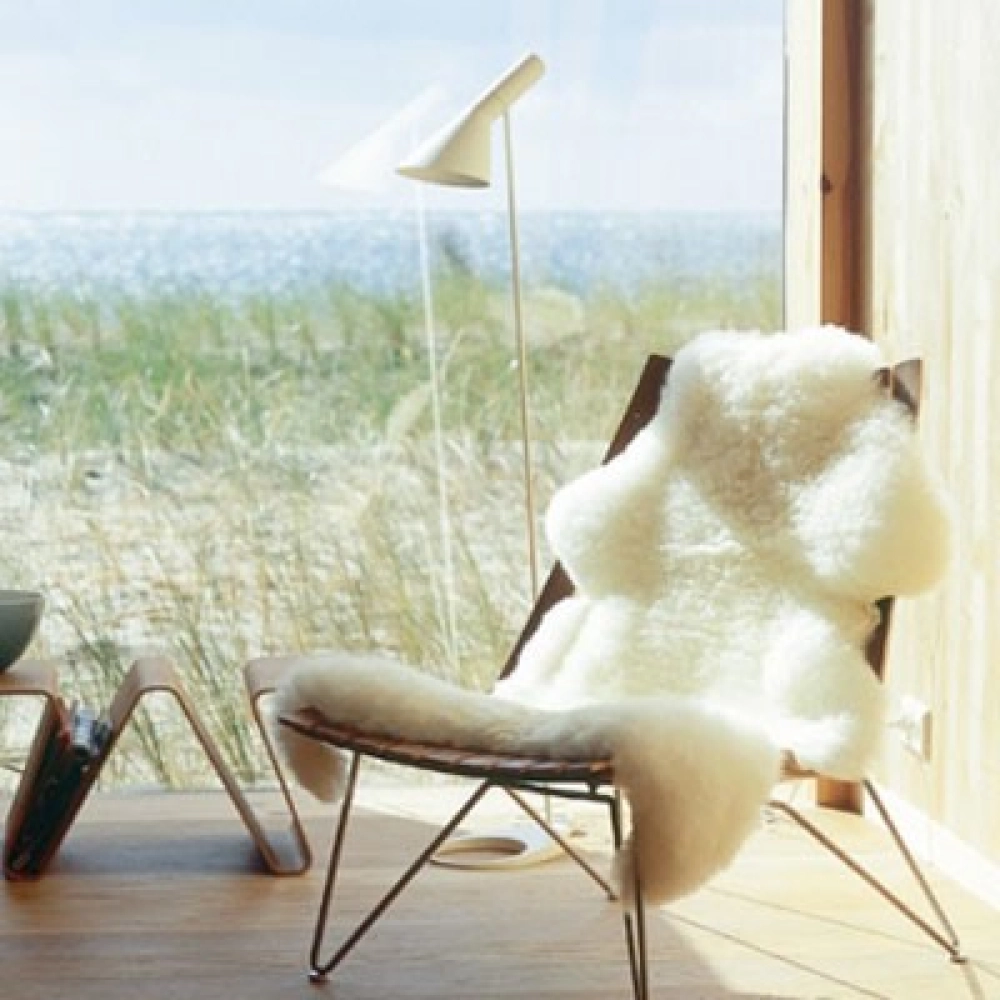 Piel Magallánica - Imagen 3