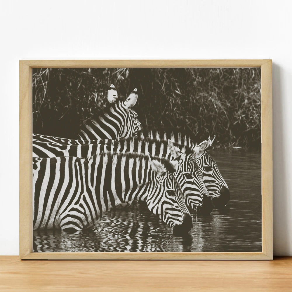 Cuadro Cebra - Imagen 3