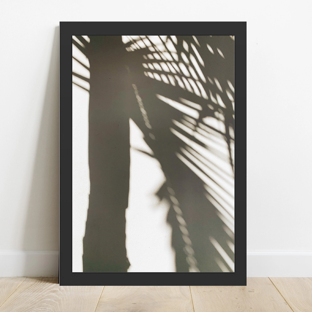 Cuadro Sombra de Palmera - Imagen 3