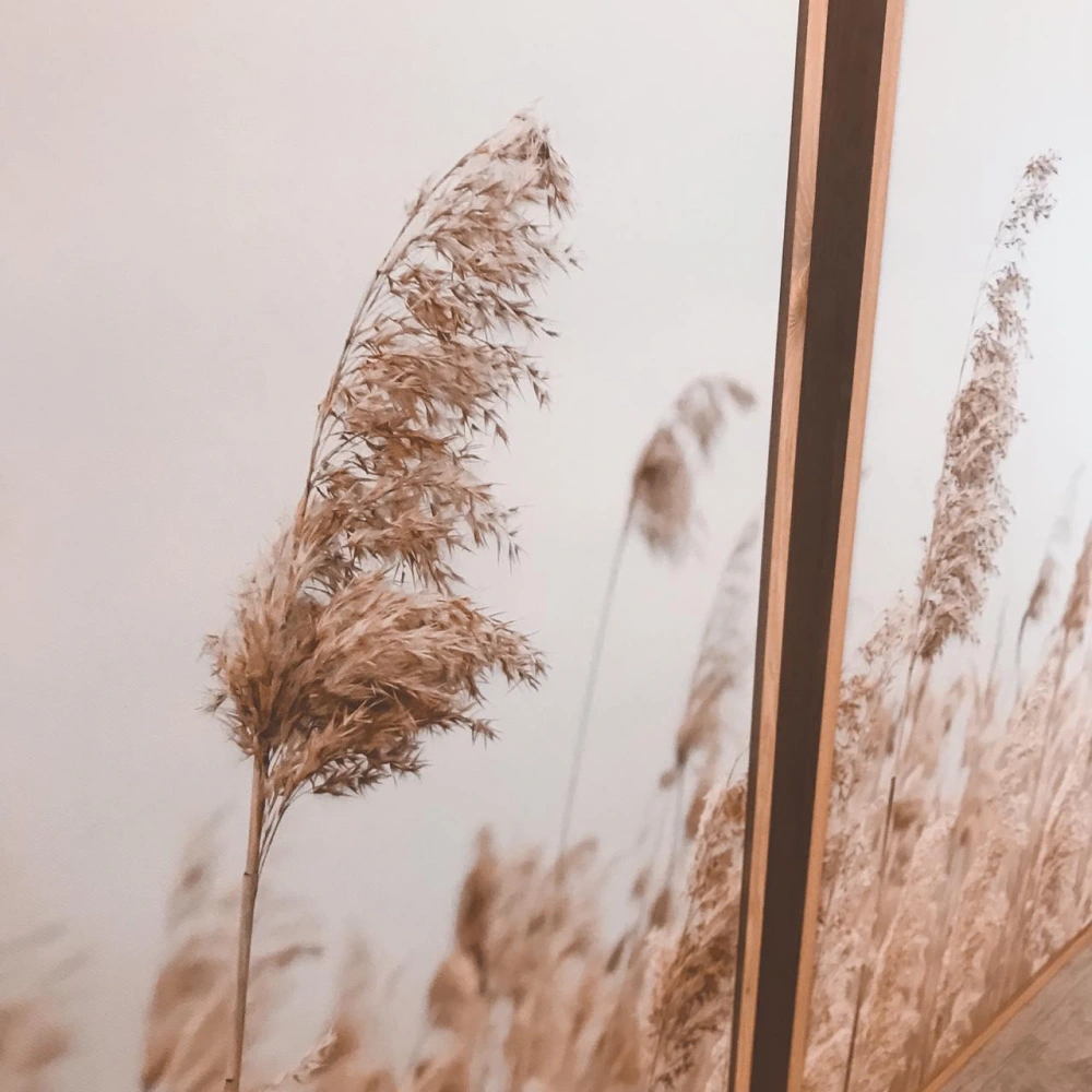 Conjunto Cuadros Canvas Campo Cola de Zorro - Imagen 4