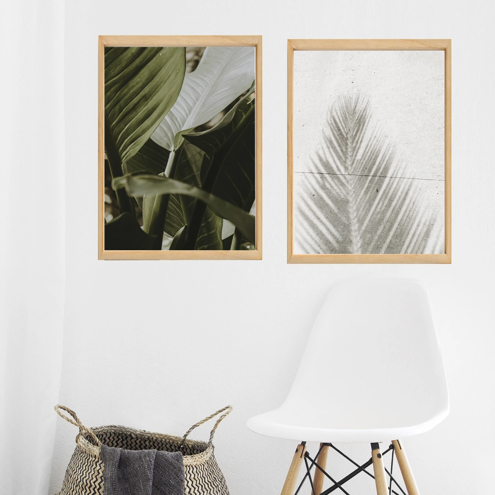 Cuadro Pluma - Imagen 4